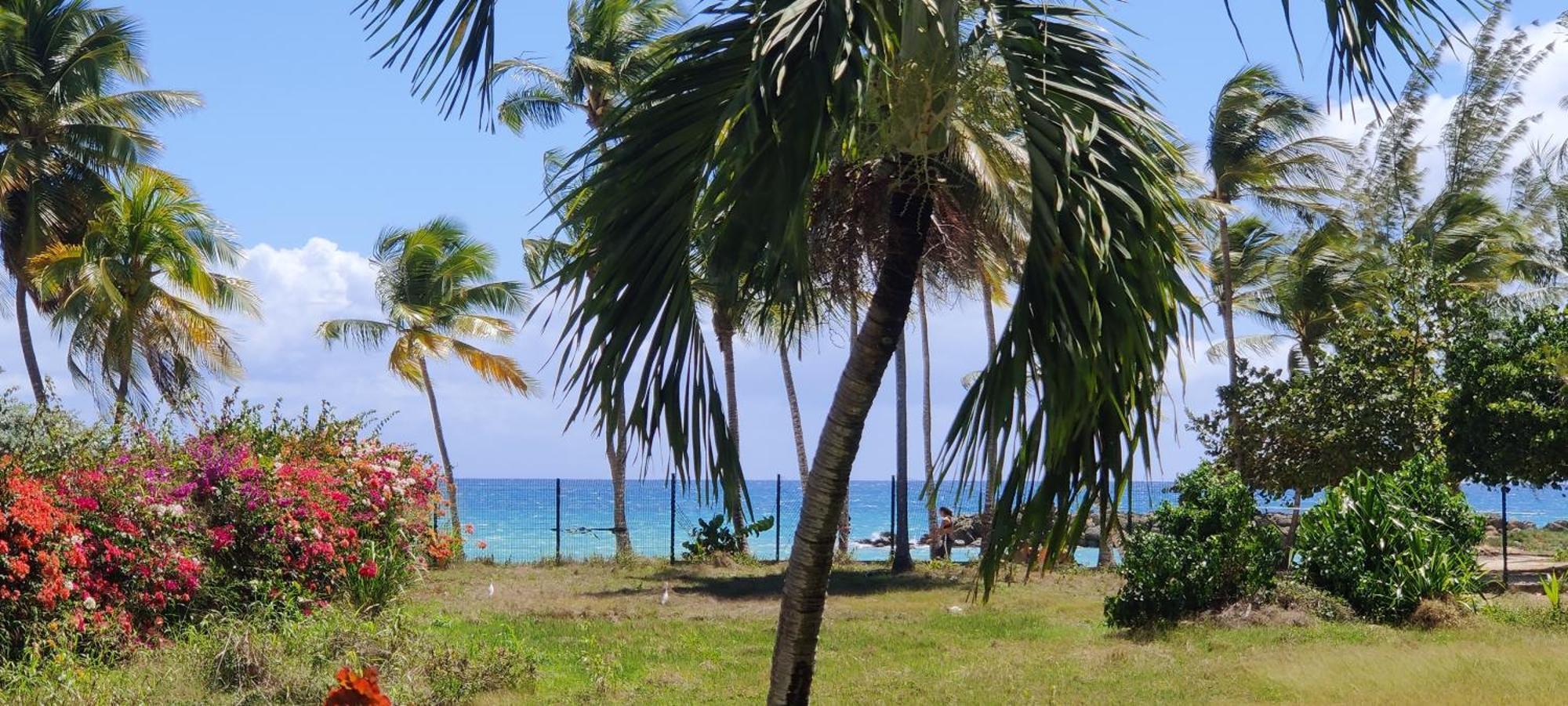 Parfum Des Iles - Vue Mer, Plage A 30M Et Piscine En Option ル・ゴジエ エクステリア 写真